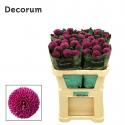  CRISUNIF ROXO FUCSIA