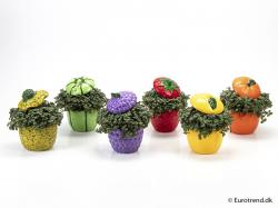  MACETA FRUTA CON TAPA 10CM