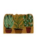  FELPUDO PLANTITAS