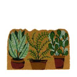  FELPUDO PLANTITAS