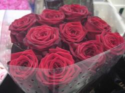  ROSA RED NAOMI ROJO 60CM