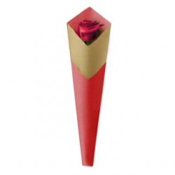  BOLSA KRAFT ROJA 70CM