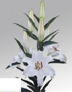  LILIUM OR CASTELLANI BLANCO