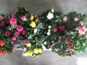  PLANTA ROSAL MIX  X12