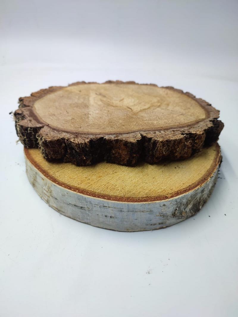  RODAJA TRONCO Ø18- 22CM 