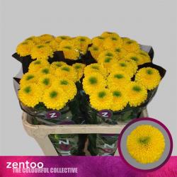  CRISUNIF BRASILIANA BOTON AMARILL