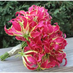  GLORIOSA X 5 TALLOS