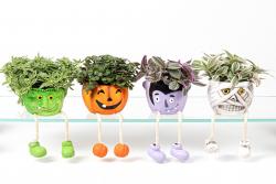  MACETA PIES COLGANDO 2025