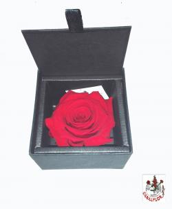  ROSA LIOF ESTUCHE PEQUEÑO ROJA 