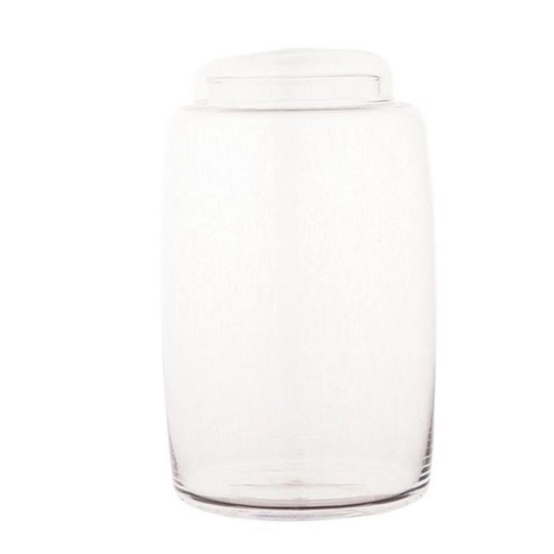  TERRARIUM TAPA CRISTAL 12X31CM