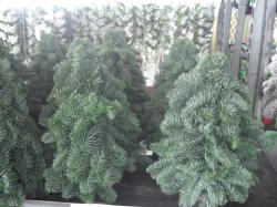  ARBOL NOBILIS 60CM 