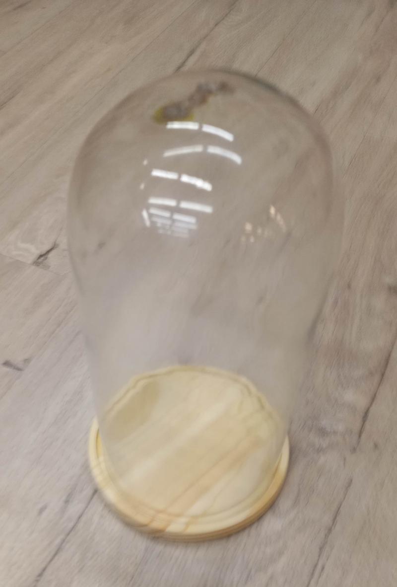  CUPULA CRISTAL Ø15X30CM 