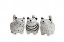  MACETA GATO 7CM 