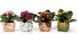  MACETA ANIMALITOS XS