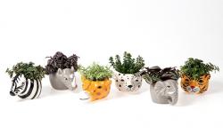  MACETA ANIMAL AFRICANO XS