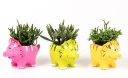  MACETA RINOCERONTE DINO