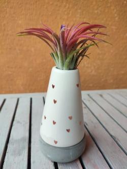  MACETA AMORE 12CM  