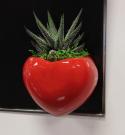  MAGNETIC CORAZON SIN PLANTA 