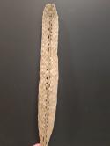  HOJA PALMA 110CM  