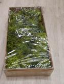  MUSGO MARINO VERDE 400GR