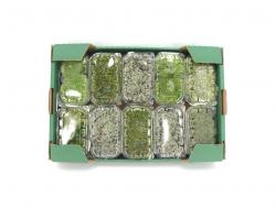  MUSGO VARIADO EN TUPPER  