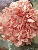  HORTENSIA PRESERVADA ROSA VINTAGE CABEZA