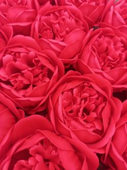  CABEZA JABON PEONIA ROJA 