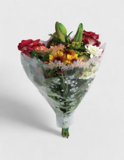  BOLSA BOUQUET ROJA MELODY 50X44X12CM