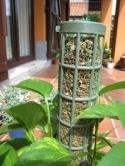  TUTOR ESTRECHO 25CMX55CM