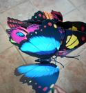  PICK MARIPOSA ROJA 58CM 10U 