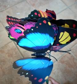  PICK MARIPOSA ROJA 58CM 10U 