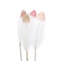  PICK PLUMAS  68CM  10U 