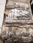  CORTEZAS ARBOL  A GRANEL   