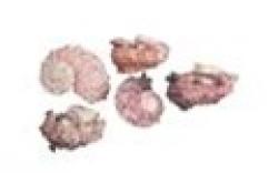  PAQUETE CARACOLAS 500GR  