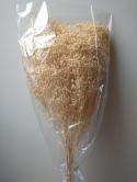  BROOM BLANCO 100 GR