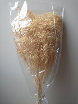  BROOM BLANCO 100 GR