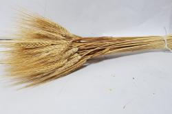  ESPIGA AMARILLA 200GR