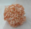  HORTENSIA PRESERVADA PEACH CABEZA