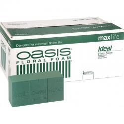  ESPUMA OASIS IDEAL EXTRA 