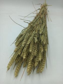  TRITICUM NATURAL POMO 