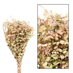  RAMO ALECRIM SECO 75CM