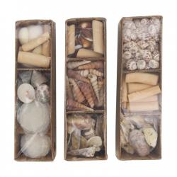  CAJA CARACOLAS MIX 