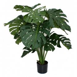  PLANTA MONSTERA DELICIOSA C21 105CM