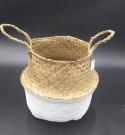  CESTA ASAS PALMA BLANCA Ø33