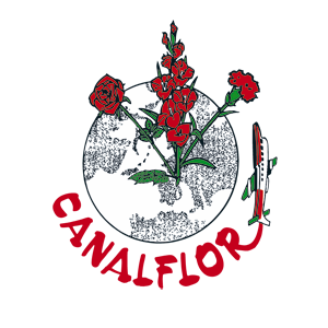 Canalflor S.L.